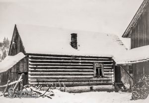 Maniowy 161 – podwórko