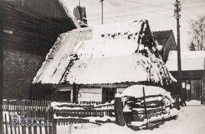 Maniowy 247 – tył