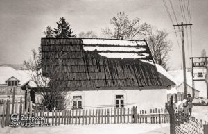 Maniowy 316 – front