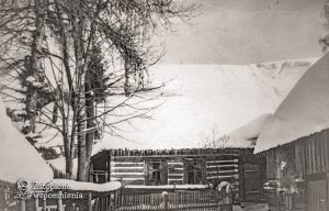 Maniowy 340 – podwórko