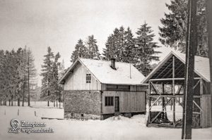 Maniowy 378 – podwórko